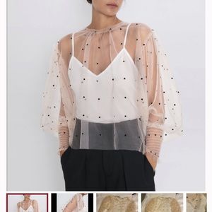 ISO Zara Sheer Polka Dot Top!!